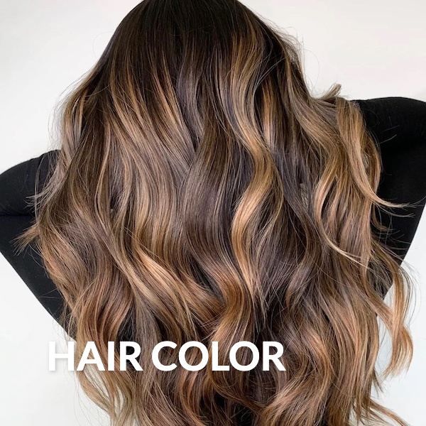 Hair Color (revised)- National Salon Resources
