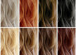 4 Reasons Salon Professionals Recommend Elgon Hair Color Blog - National Salon Resources