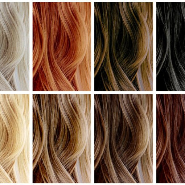 4 Reasons Salon Professionals Recommend Elgon Hair Color Blog - National Salon Resources