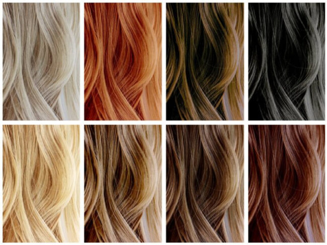 4 Reasons Salon Professionals Recommend Elgon Hair Color Blog - National Salon Resources