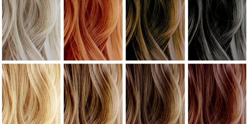 4 Reasons Salon Professionals Recommend Elgon Hair Color Blog - National Salon Resources